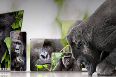 About Gorilla Glass
